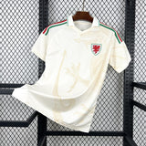Wales Landslagströja 2026 Footballdinho