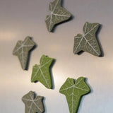 Designer Efeu Kylskåpsmagnet Carvallo