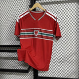 Wales Landslagströja 2026 Footballdinho
