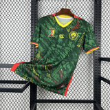 Kamerun Landslagströja 2026 Footballdinho