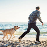 GPS Pro Trådlöst Hundstängsel System – Säkra Din Hundleverans Carvallo