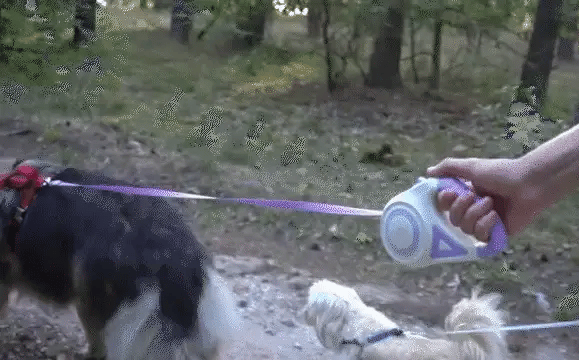 Luxora Utdragbar Hundkoppel med LED-lampa och Komforthandtag Carvallo