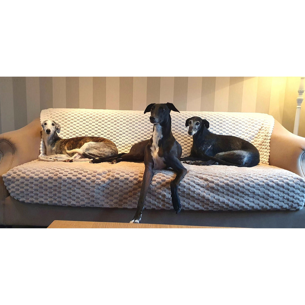 Romy - Plädsofföre - Högkvalitativa soff- och kuddöverdrag L Form Carvallo