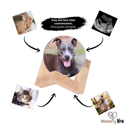 Royallure Memory Orb – Anpassad Videokula med 360° Ljud & USB Uppladdning Carvallo