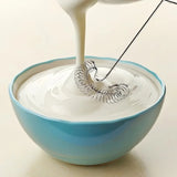 Royallure Rostfritt Stål Vårexpert Mini Vispa Mjölkskummare & Sås Mixer Carvallo