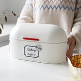 Royallure Vintage-Style Galvanized Iron Bread Box with Hinged Lid – Retro Bänkdisk Organisator Carvallo