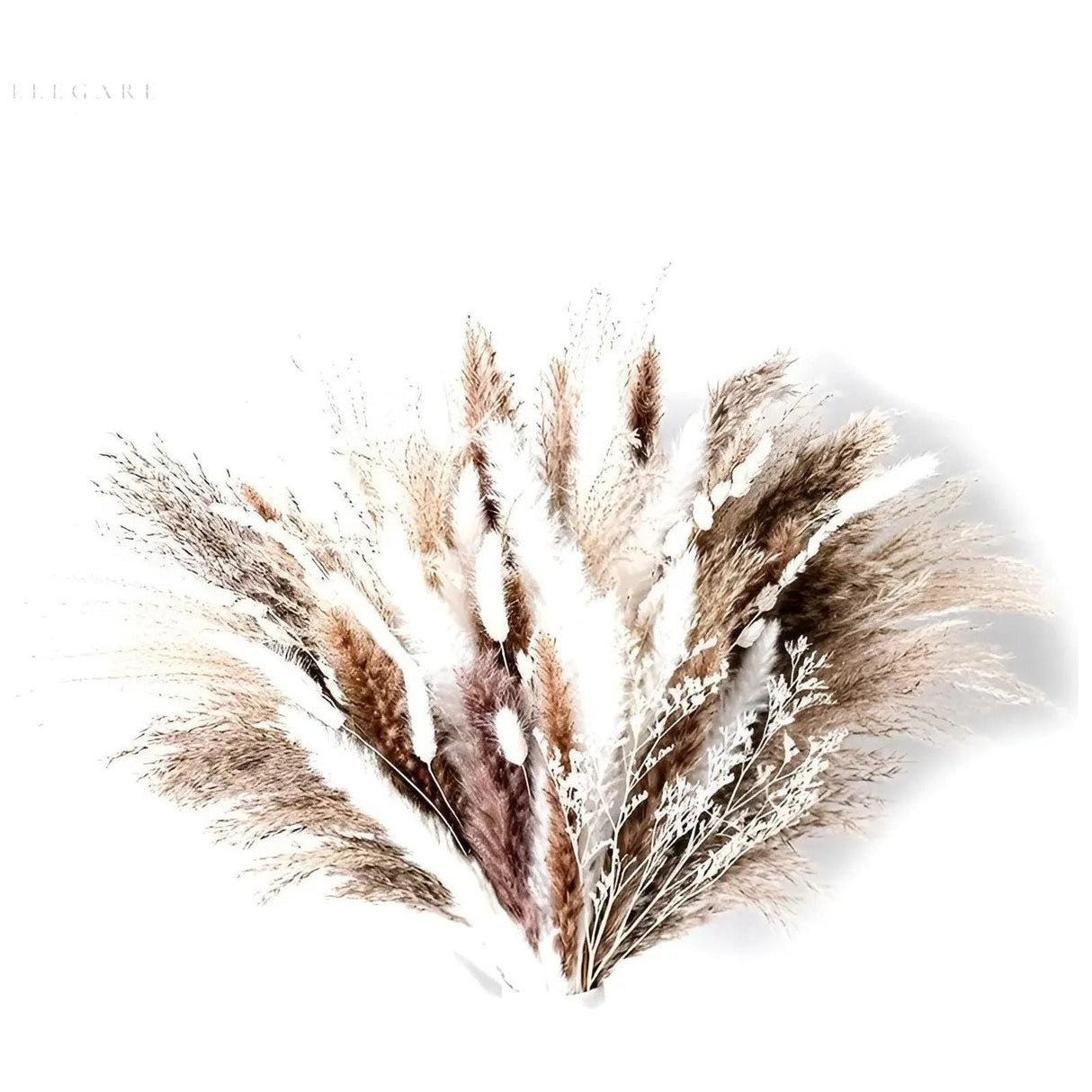 RusticPampas Dekor - Naturlig Fluffig Pampasgräs Boho Hem Blomsterarrangemang Carvallo