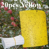 Carvallo Fruktflugefälla Gul | 20 stycken Dubbelsidiga | Giftfria & Miljövänliga | Klisterfällor för Insekter Carvallo