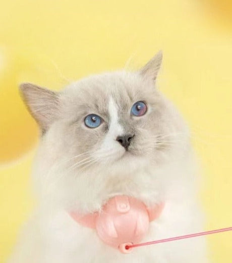 Laser Tease Kattkrage bellasverige