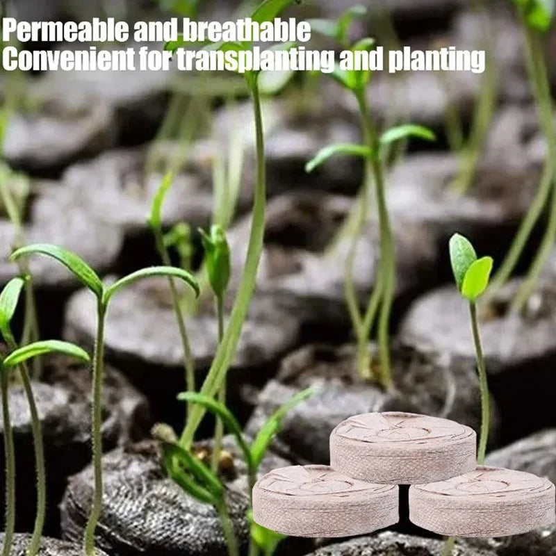 Carvallo 100 stycken kokosbriketter för växtuppdragning | Näringsrik kokosjord | Idealisk för plantor, växthus & hydroponik Carvallo