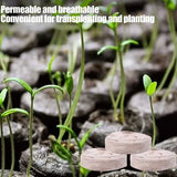 Carvallo 100 stycken kokosbriketter för växtuppdragning | Näringsrik kokosjord | Idealisk för plantor, växthus & hydroponik Carvallo