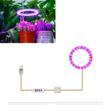 Carvallo Luminara Ring | LED-växtbelysning med timerfunktion | 1–4 huvuden | USB-driven & 5-stegs dimbar Carvallo