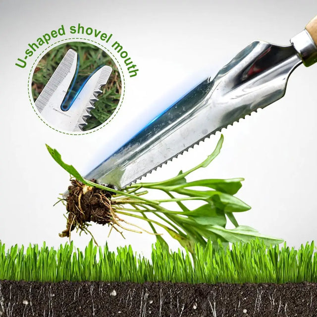 Carvallo Classic | Ogräsvettare med trähandtag | Handjägare i rostfritt stål | För fogar, rabatter och trädgårdsskötsel Carvallo