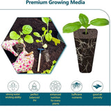 Carvallo 120-delars hydroponik-tillbehörsset | Anläggningskorgar, svampar, skyddshuvuden & etiketter | För inomhusträdgårdar & växtodling Carvallo