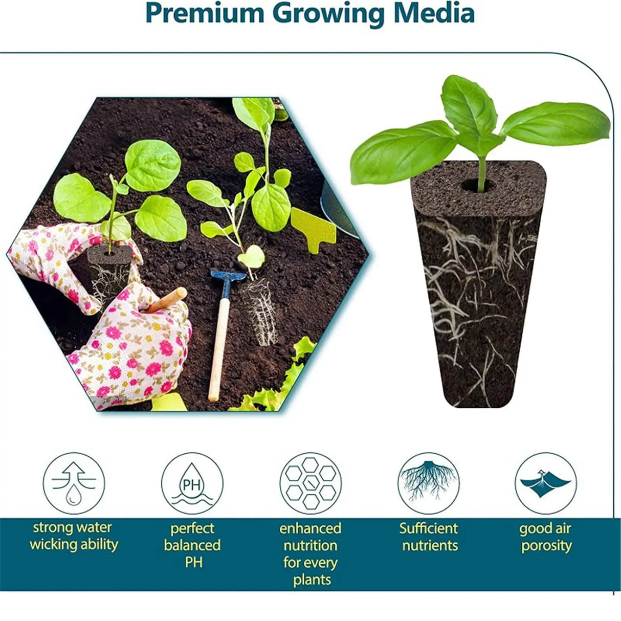 Carvallo Hydroponik Startset 120-delat | Med korgar, svampar & skydd | För inomhusträdgård & uppfödning Carvallo