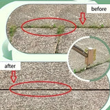 Carvallo Ogräsborste manuell | Justerbar med 120 cm handtag | För fogar, terrasser & gångvägar | Trådborste Carvallo