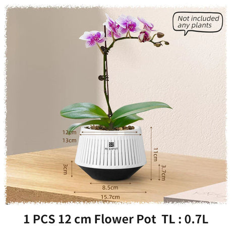Carvallo Orchid Pot | Ventilerad planteringskruka med dräneringshål | 12 cm | Robust PP-material för inomhus och utomhus Carvallo