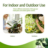 Carvallo växtstöd 3-pack | Stapelbar & Ästetisk | Naturlig look | För inomhus- & trädgårdsväxter Carvallo