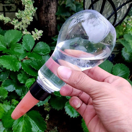 Carvallo AquaSpike | Automatisk växtvattnare | 320 ml | För rum- & balkongväxter Carvallo