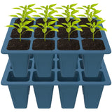 Carvallo Silikon | BPA-free & Reusable | 12 Cells with Drainage | 2-Pack in Black or Dark Green Carvallo