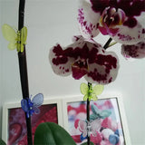 Carvallo 30 stycken orkidé- och växtklipp | Färgade fjärilsclips | För klätterhjälpmedel och växtstöd | Plast Carvallo