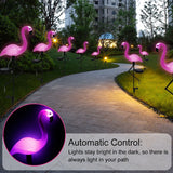 Flamoré GardenGlow Solar Flamingo Garden Light | Waterproof & Decorative | Pink | For Yard, Terrace & Path Lighting Carvallo