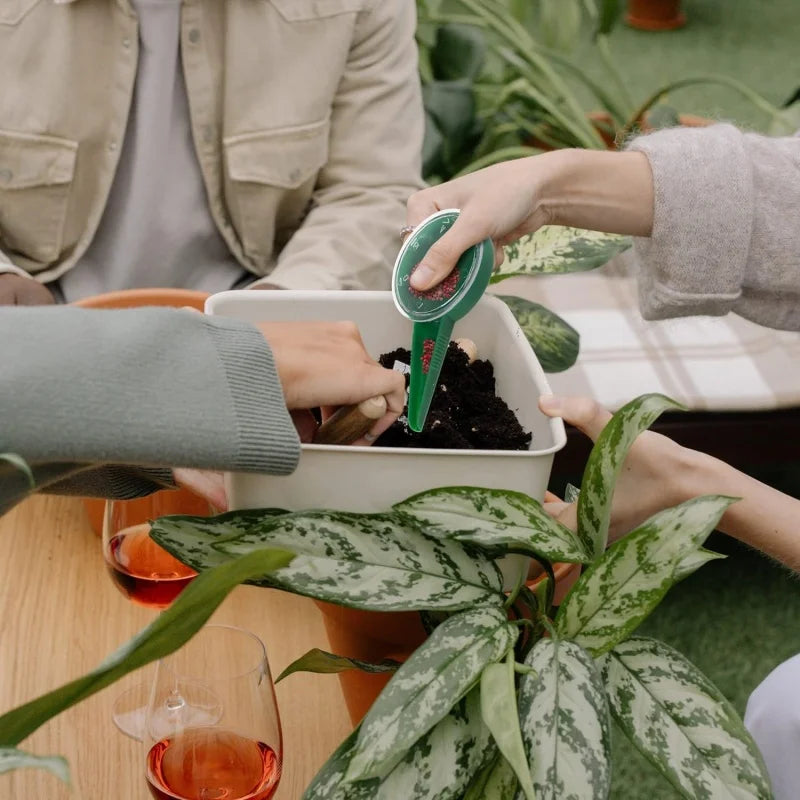 Justerbar frösklippare – Precisions trädgårdssamenspridare för enkel användning Carvallo