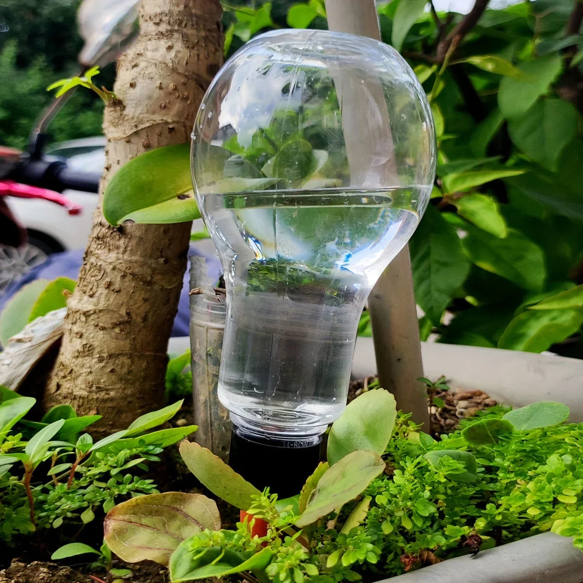 Carvallo AquaSpike | Automatisk växtvattnare | 320 ml | För rum- & balkongväxter Carvallo