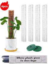 Carvallo Moosstab-Set | Transparent växtstöd i PVC | Främjar vertikal tillväxt av klätterväxter | Återanvändbar | 30cm / 60cm längd Carvallo