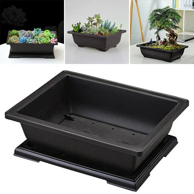 Carvallo Plantekrukke | Antikk-utseende & Bruddsikker | Med Underlag | 29x21x10,5 cm Carvallo