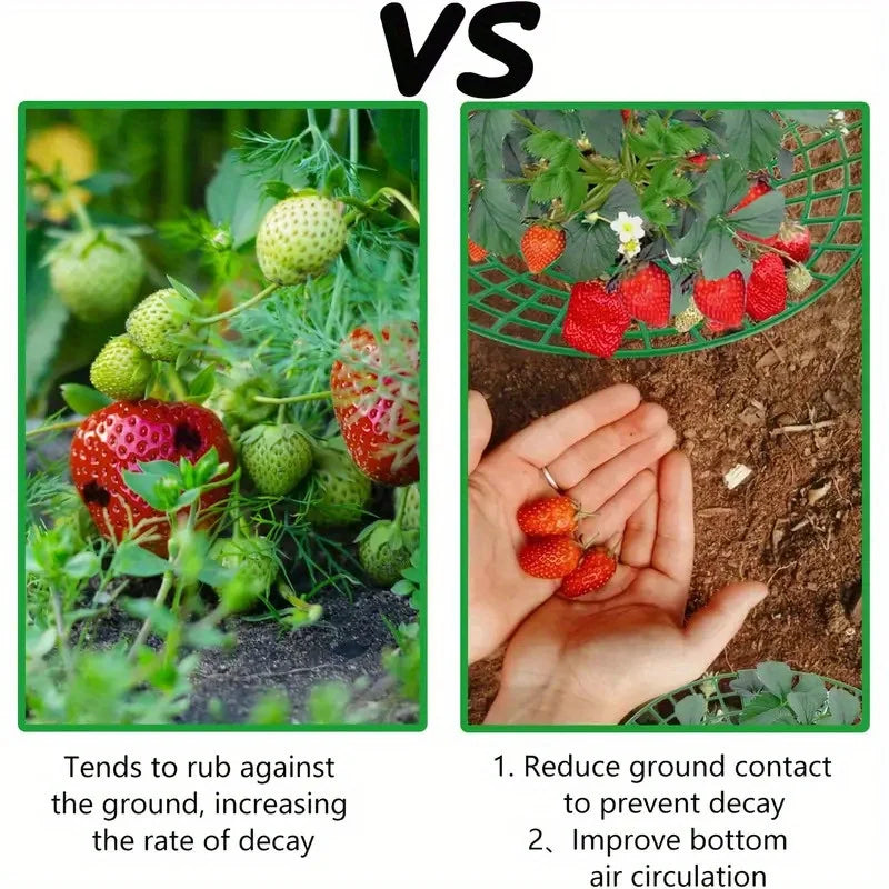 Carvallo Rankhjälp | 5/10-pack Jordgubbsstöd | Skydd mot förruttnelse & smuts | Med 3 stabila ståben Carvallo