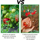 Carvallo Rankhjälp | 5/10-pack Jordgubbsstöd | Skydd mot förruttnelse & smuts | Med 3 stabila ståben Carvallo