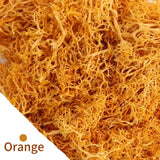 Carvallo Konstgjord mossa Dekogräs | 20 g / 40 g / 100 g | För DIY, miniatyrträdgårdar & hemtillbehör | Eviggrön & underhållsfri Carvallo