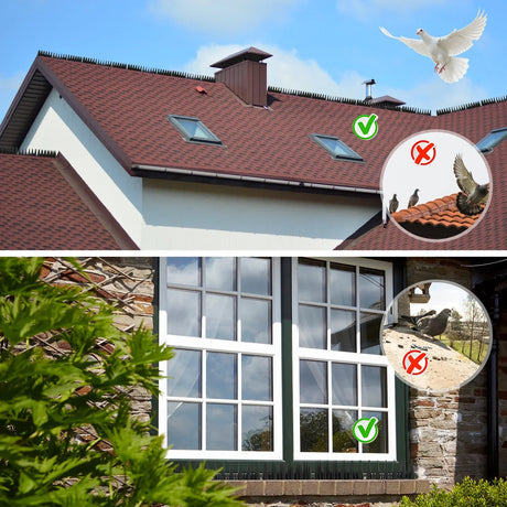 Carvallo 12/20-set fågelskyddsspikar | Avtagbar & djurvänlig | Anti-klättringsskydd för staket, fönsterbräda & takkant Carvallo