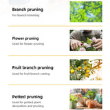 Carvallo PRUNEXA | 21 cm | Kolstål #55 | Precisionsskärning upp till Ø 1 cm Carvallo