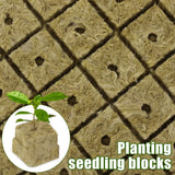 Carvallo Anzuchtkubbar för hydroponik | Steinullfria växtkubbar | Ideal för grönsaker, örter & blommor | 50/100/200/300/500 stycken Carvallo