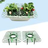 Carvallo växtstöd för jordgubbar 5-pack/10-pack | 45° skydd design | Platsbesparande & Stabil | För jordgubbar, tomater & paprika Carvallo