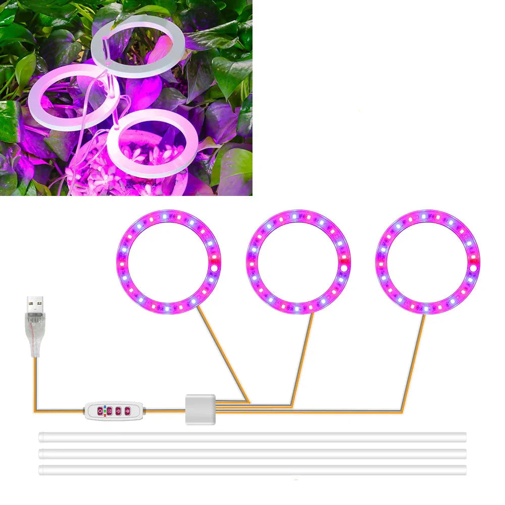 Carvallo Luminara Ring | LED-växtbelysning med timerfunktion | 1–4 huvuden | USB-driven & 5-stegs dimbar Carvallo