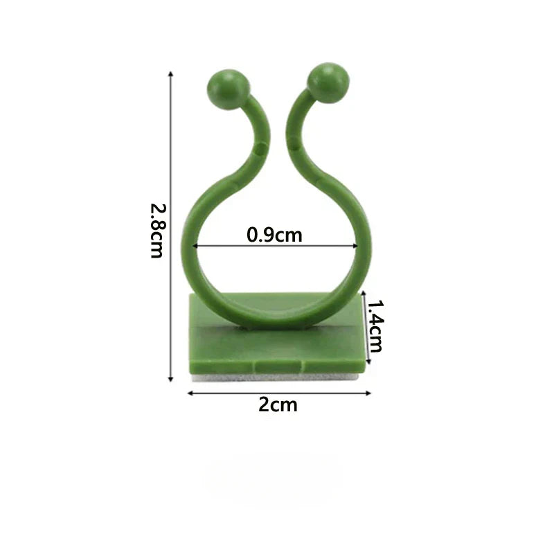 Carvallo Självhäftande växtklipp 10/50 stycken | Stöd för klätterväxter | Osynlig fäste för väggar & fönster Carvallo