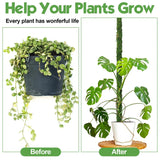 Carvallo MossPole Böjliga mossa stöd för växter | Handgjord klättringshjälp för Monstera & inomhusväxter | 45 × 3 cm Carvallo