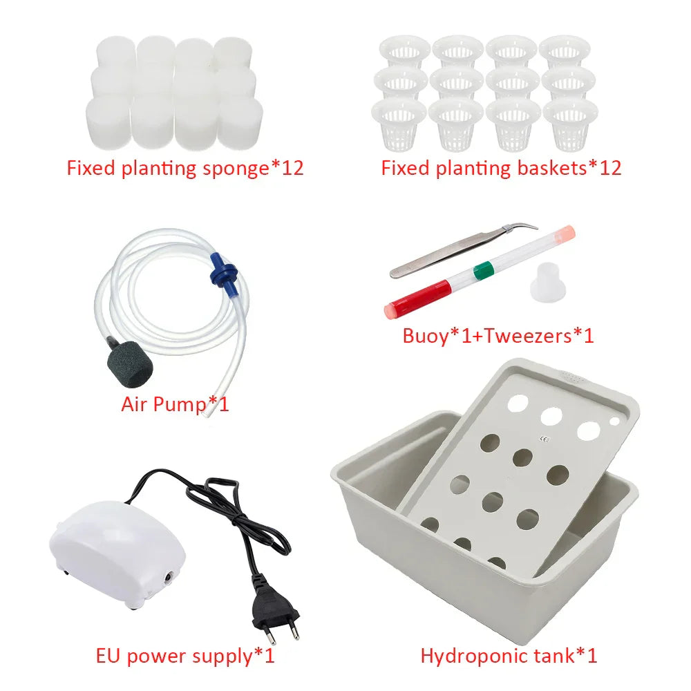 Carvallo Planter Set GrowPure 12 | 12-Chamber System with Pump | 220 V | For Herbs, Vegetables & Seedlings | 41×27,5×14 cm Carvallo