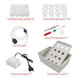 Carvallo Planter Set GrowPure 12 | 12-Chamber System with Pump | 220 V | For Herbs, Vegetables & Seedlings | 41×27,5×14 cm Carvallo