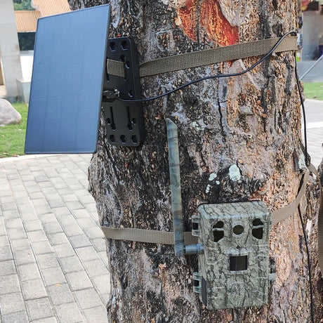 Carvallo – Soldriven 4G Wildlife-kamera med livestreaming och rörelsedetektion Carvallo