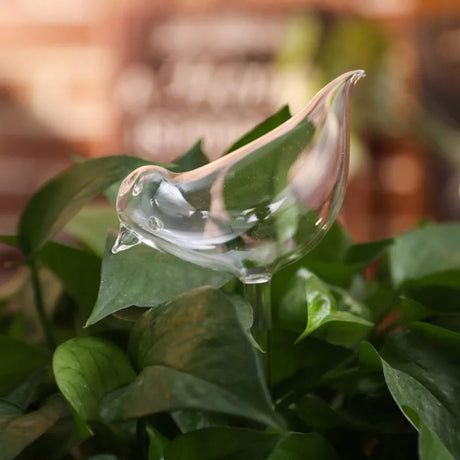 Carvallo bevattningssystem AquaZoo GlassDrop | djurdesign | självbevattning av glas | för blomkrukor & inomhusväxter Carvallo