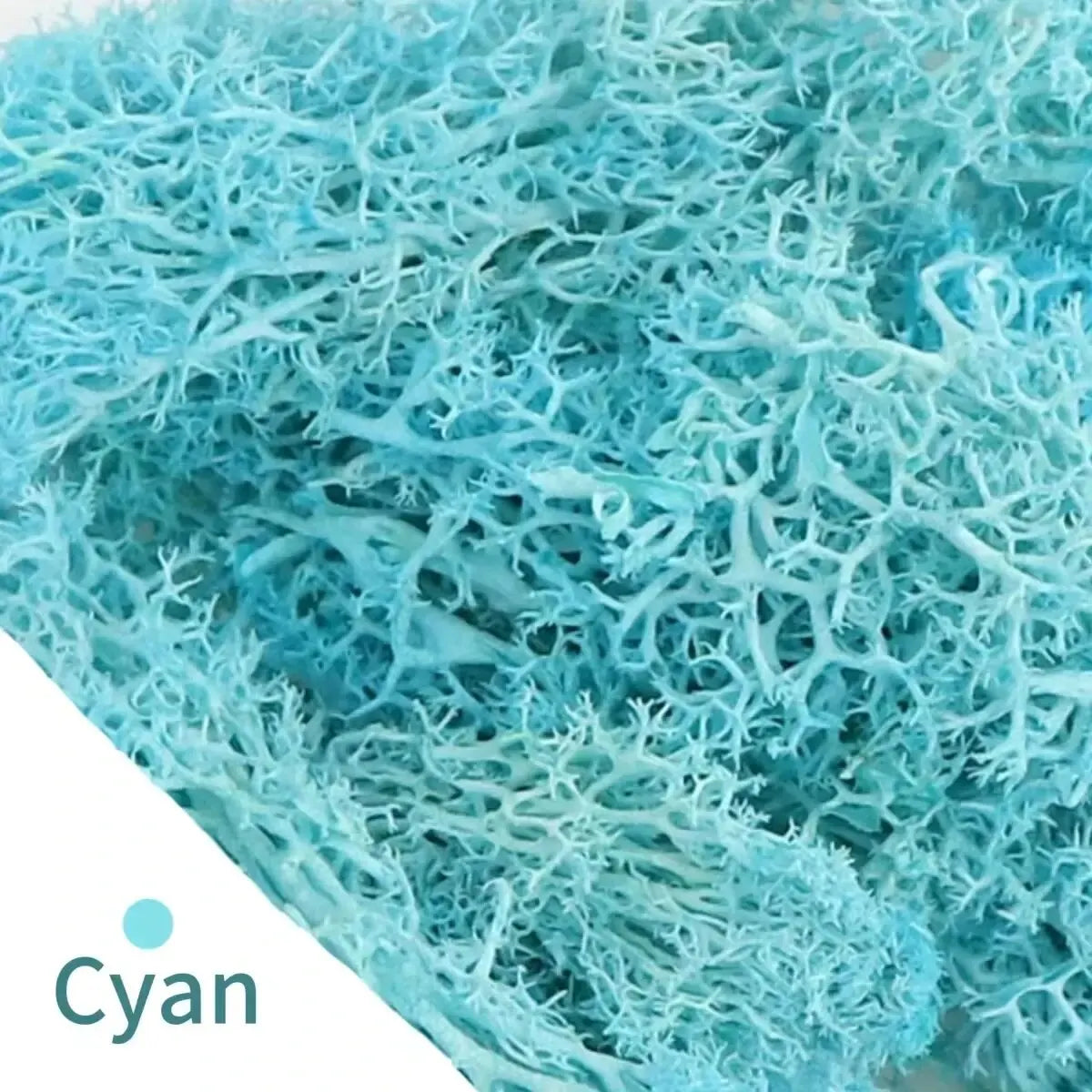 Carvallo Konstgjord mossa Dekogräs | 20 g / 40 g / 100 g | För DIY, miniatyrträdgårdar & hemtillbehör | Eviggrön & underhållsfri Carvallo