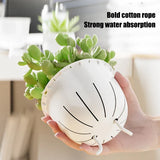 Carvallo Blomkruka | Självvattnande & Transparent | Dubbelväggig kruka för inomhusväxter & suckulenter Carvallo