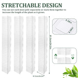 Carvallo Moosstav-Set för klätterväxter | Transparent PVC växtstöd | Inomhus & Utomhus Carvallo