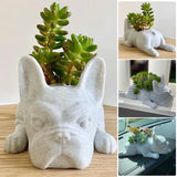 PupBloom - Lovely dog-shaped planter box for charming decor Carvallo