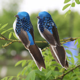 Carvallo ClipBird Dekorationsfågel med fjäder & klämma | 16x4x6 cm | För växter, kransar & inredningsidéer | I 4 färger Carvallo