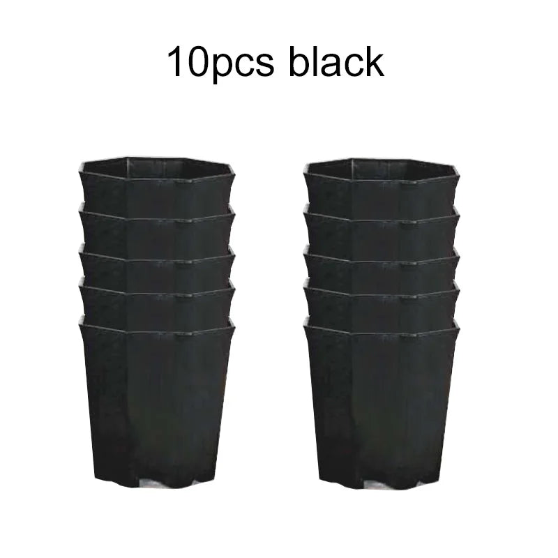 Carvallo Octa | 10-pack åttkantiga blomkrukor | Svart & Vit | Andningsbar | För suckulenter & sticklingar | Ø 8 cm Carvallo